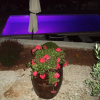 Отель Mario - Apartment With Pool - A1, фото 7