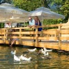 Отель Slovenia Eco Resort, фото 12