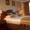 Отель Clachan Cottage Hotel, фото 17