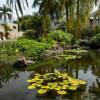 Отель The Palms at Wailea by Coldwell Banker Island Vacations, фото 36