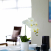 Отель Epsom Central Modern 3Brd Apt, фото 11