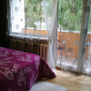 Отель Apartamentai Dana, фото 1