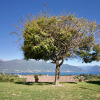 Отель Oasi di Castelveccana Apt Pool and View, фото 15