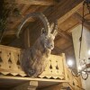 Отель Luxury Chalet Jägers Ruh, фото 20