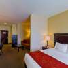Отель Comfort Suites University, фото 5