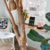 Отель Dali Xingge Homestay (Gucheng Renmin Road), фото 6