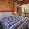 Отель Bussells Bushland Cottages, фото 4