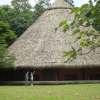 Отель Tirimbina Lodge, фото 20
