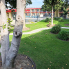 Отель Econo Lodge Inn & Suites Oakland Airport, фото 7