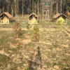 Отель Karnali Jungle Camp, фото 3