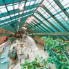 Отель Westgate Smoky Mountain Resort & Water Park, фото 22