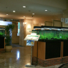 Отель Nagoya Garden Palace, фото 2