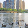 Отель Intercontinental Changzhou, фото 15