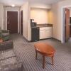 Отель Holiday Inn Express & Suites Locust Grove, an IHG Hotel, фото 5