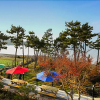 Отель Yeosu Pierre Mont Pension, фото 27