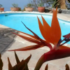 Отель Fishermans Cottage Tenerife, фото 4