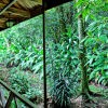 Отель Jaguarundi Lodge, фото 35