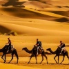 Отель Merzouga Relax Camp, фото 11