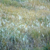 Отель Auberge Peacock Hill, фото 8