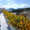 Отель Villa Mira Capri, фото 11