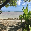 Отель Fare Manahere Rangiroa, фото 14