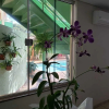 Отель Proença Hotel, фото 30