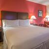 Отель Holiday Inn Express Hotel & Suites - Houston Space Center, an IHG Hotel, фото 14