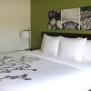 Отель Sleep Inn & Suites, фото 4