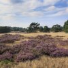 Отель Semi-detached Bungalow with Dishwasher near Veluwe, фото 24