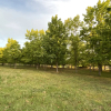 Отель Bellamanga Country House, фото 21