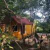 Отель Ecoturismo Yax-ha By Rotamundos, фото 8