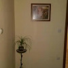 Отель Guest House Elena, фото 10
