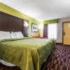 Отель Quality Inn - Albemarle, фото 11