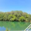 Отель Gite face à la rivière -proche du pont du Gard-, фото 4