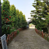 Отель Green Ashiyana Palace, фото 9