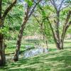 Отель Jellystone Park Guadalupe River, фото 15