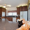 Отель Miracle Eight by Vacation Rental Pros, фото 2