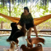 Отель Nature Retreat with Healing Dogs in Brazil, фото 19