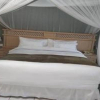 Отель Anina's Executive Lodge, фото 3