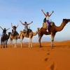 Отель Etoile Sahara Camp, фото 19