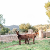 Отель Finca Es Cabas, фото 29