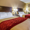 Отель Comfort Inn, фото 9