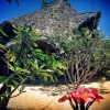 Отель Mnana Lodge Kizimkazi, фото 30
