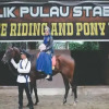 Отель Balik Pulau Stable Homestay, фото 26