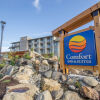 Отель Comfort Inn & Suites, фото 13