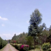 Отель Lux Suites Marura Holiday Villa Nakuru, фото 11