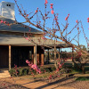 Отель Yarrabandai Creek Homestead, фото 34