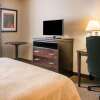 Отель Quality Inn & Suites Next to the Casino, фото 4