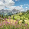 Отель Badia Hill, фото 21