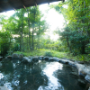 Отель Hosenji Onsen Ryusenkaku, фото 22
